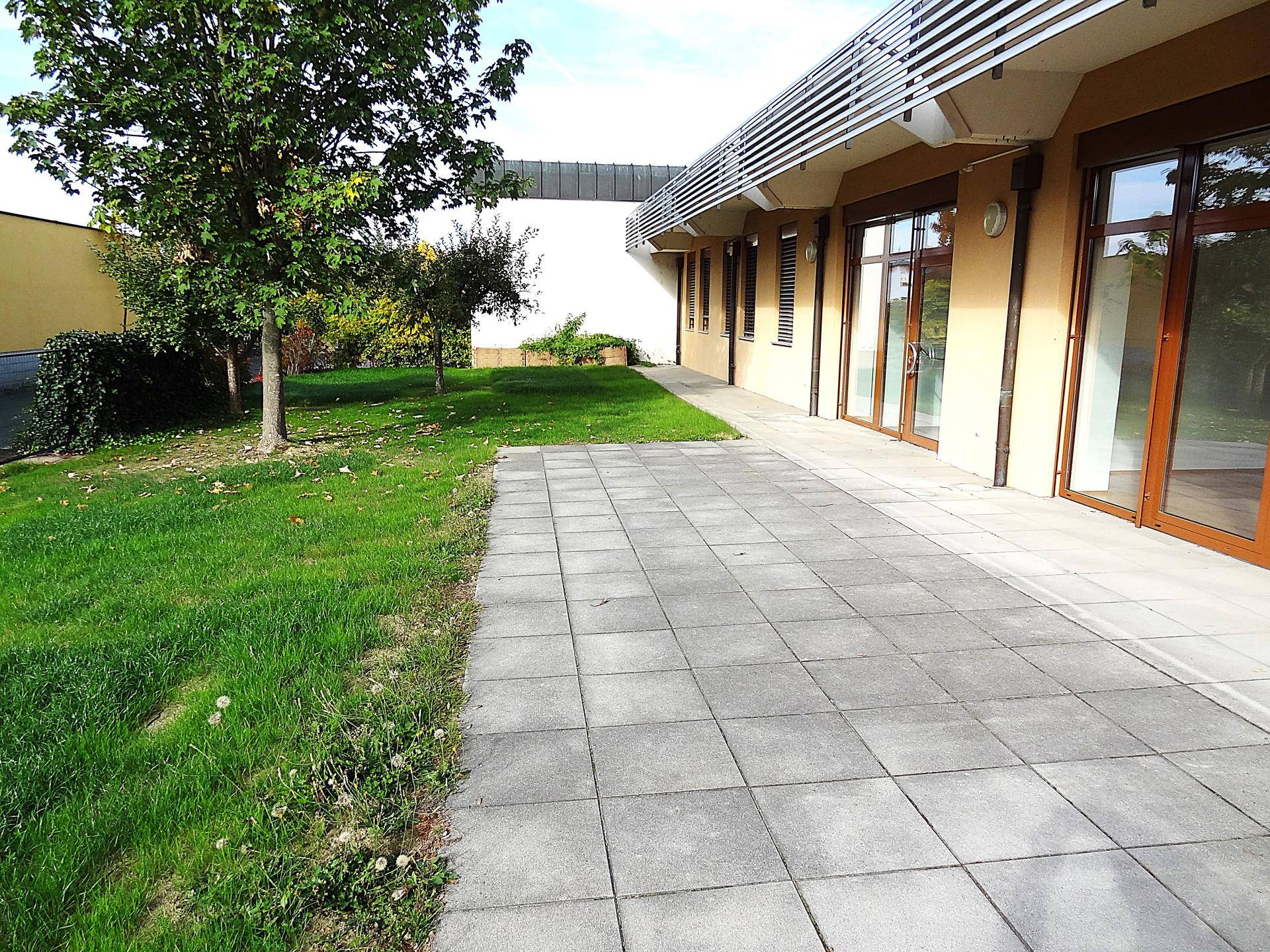 Grüne Rasenfläche mit Bäumen neben einer gepflasterten Terrasse und der Gebäudefassade.