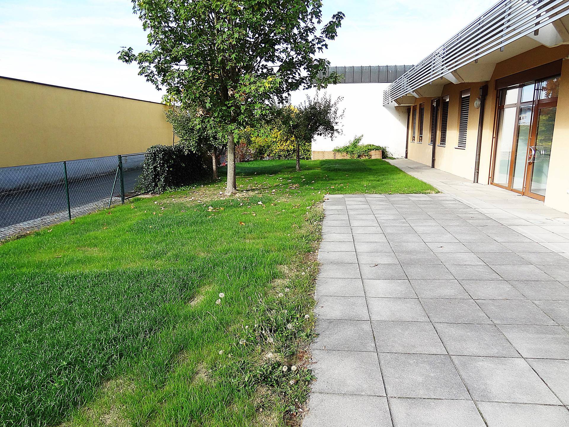 Gepflegte Rasenfläche mit Bäumen und einer gepflasterten Terrasse entlang der Gebäudeseite.