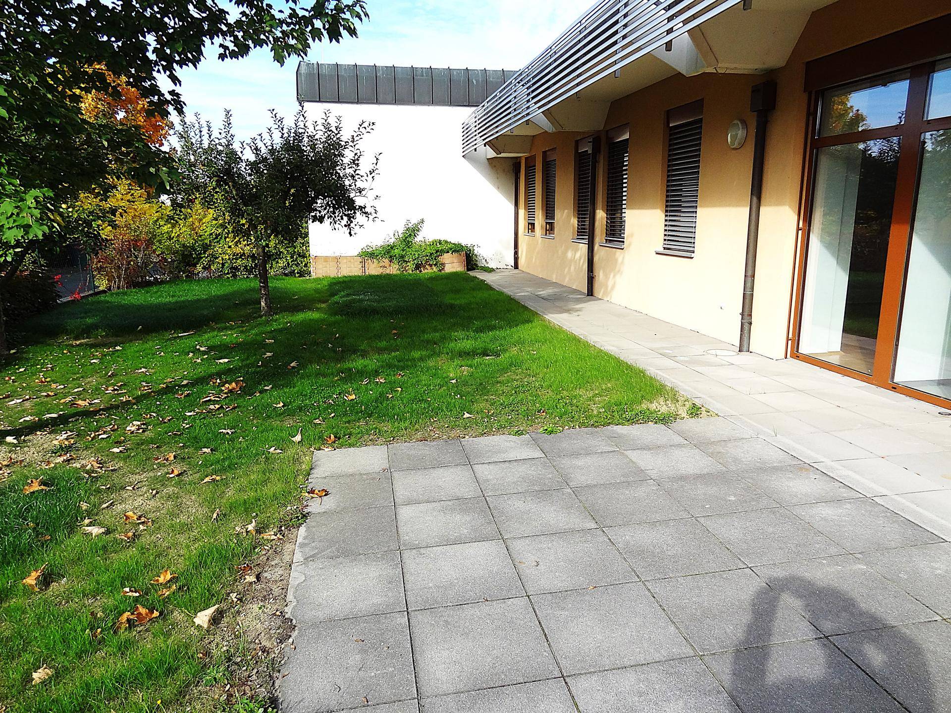 Gepflasterte Terrasse neben einer Rasenfläche mit Herbstlaub und der Gebäudefassade.