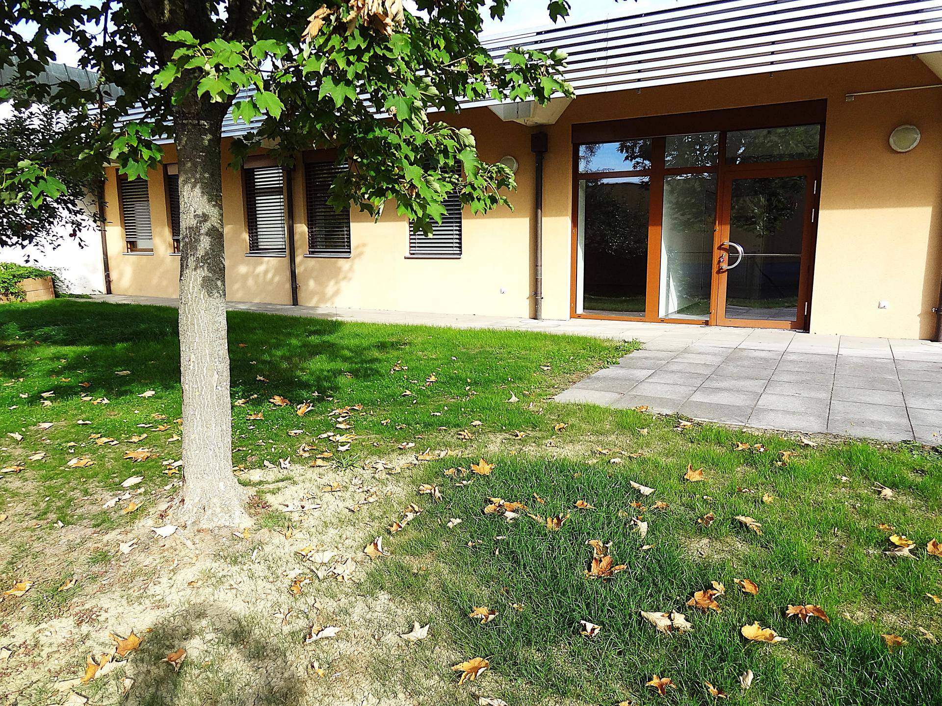 Grüne Rasenfläche mit einem Baum und Herbstlaub vor der Gebäudefassade mit Terrasse.