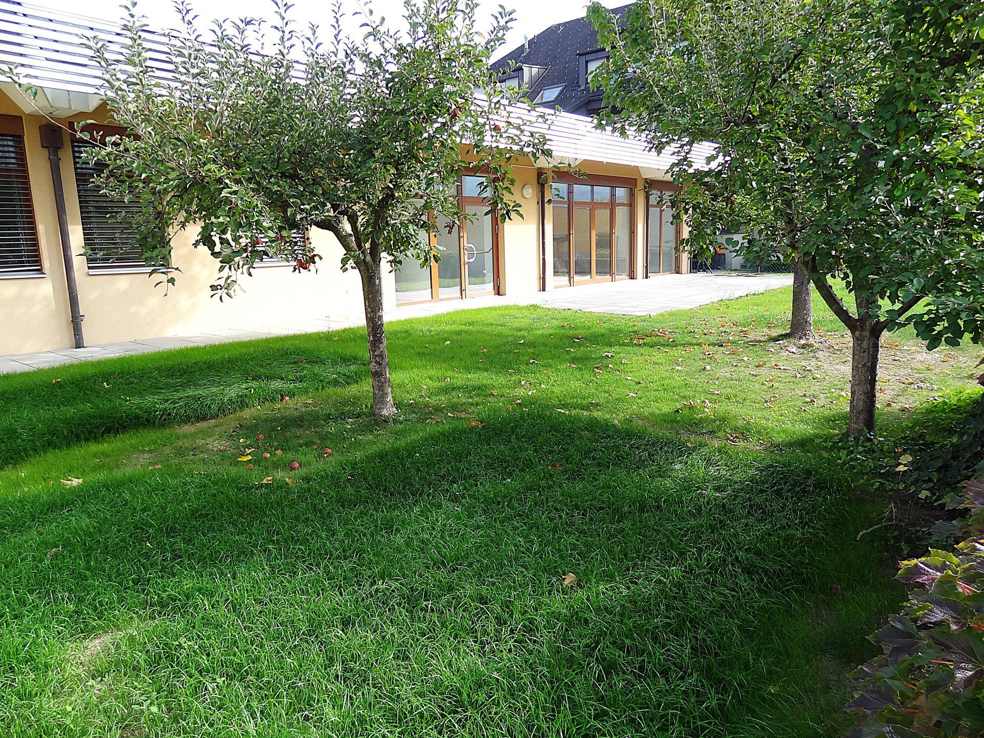 Grüne Rasenfläche mit mehreren Bäumen vor der Gebäudefassade und einer Terrasse.