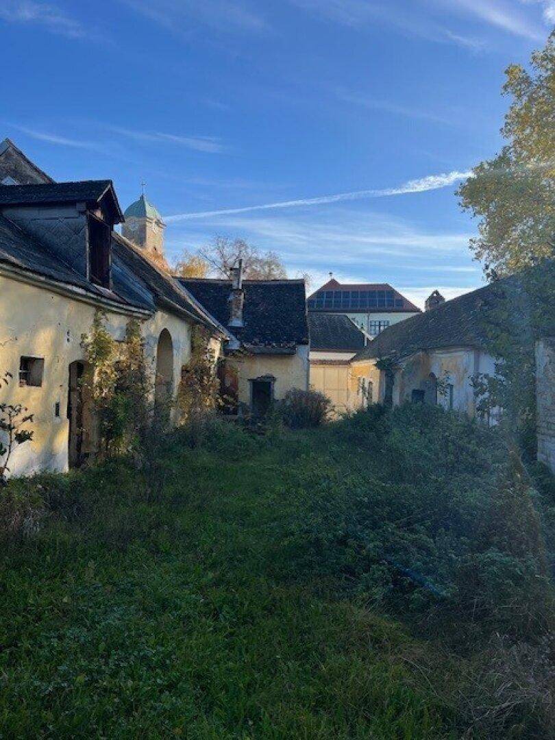 Verfallene historische Gebäude mit überwucherten Fassaden und Dächern, die eine umfassende Sanierung benötigen.