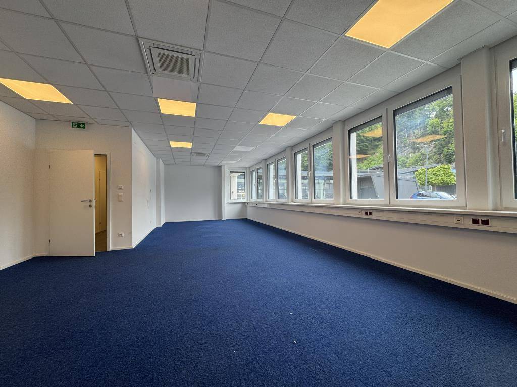 Helles und geräumiges Büro mit durchgehender Fensterfront und blauem Teppichboden.
