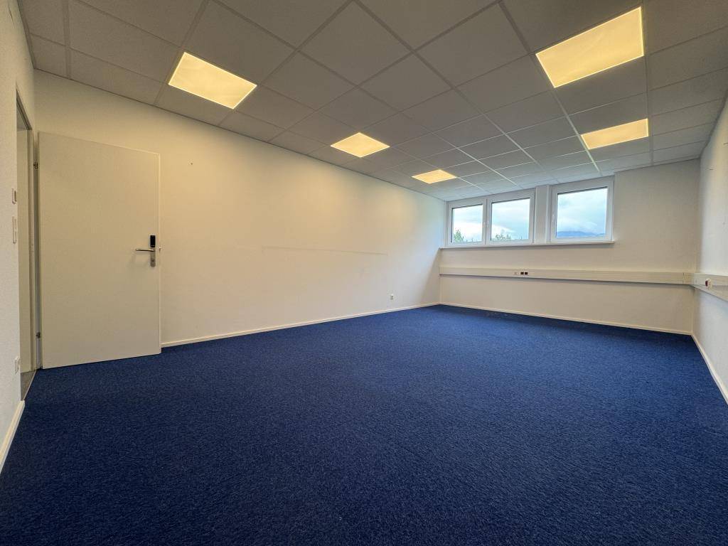 Leeres Büro mit blauem Teppichboden und Fenstern, die viel Tageslicht hereinlassen.
