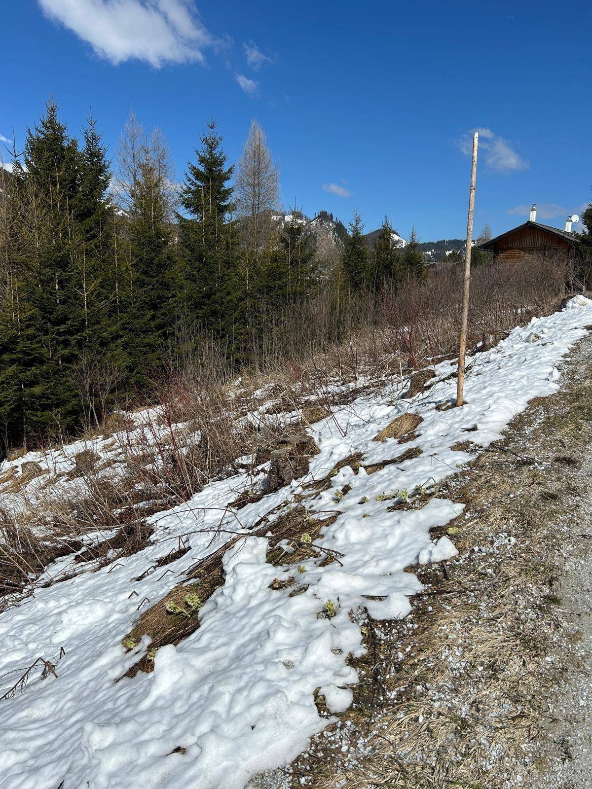 Baugrundstücke inklusiv Planung und einen schönen Weitblick - Ansicht 3