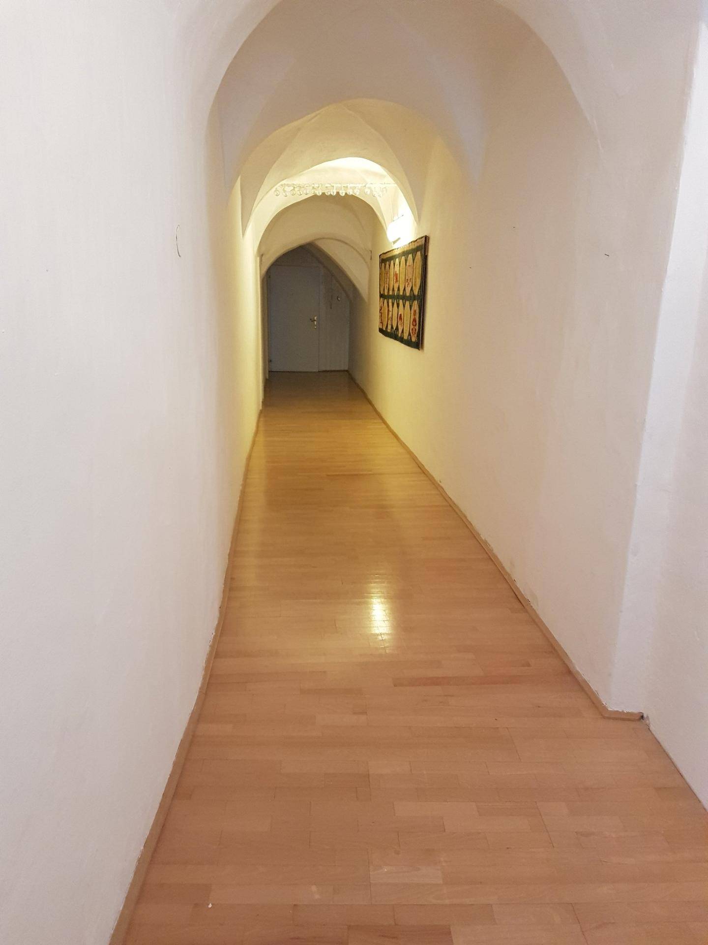 Langer Flur mit Holzboden und gewölbter Decke, der zu einem weiteren Raum führt.