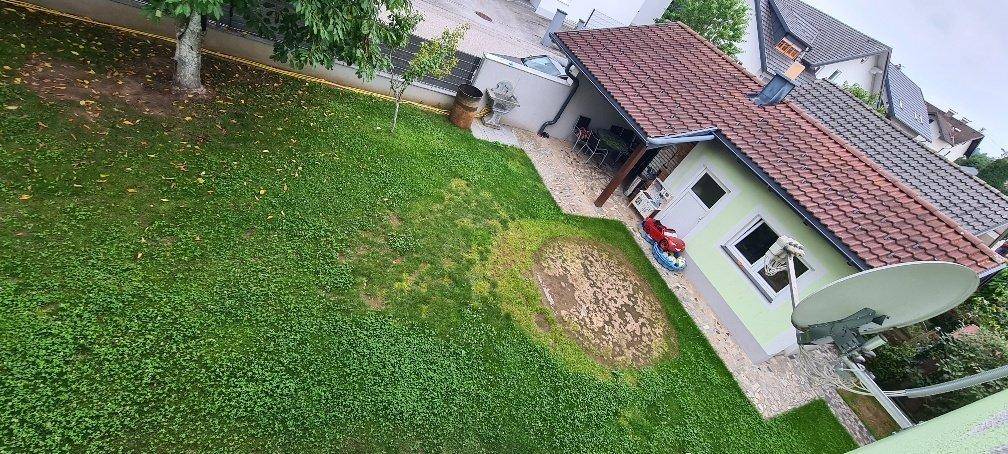 Großer grüner Garten mit Rasenfläche und Blick auf das Haus.