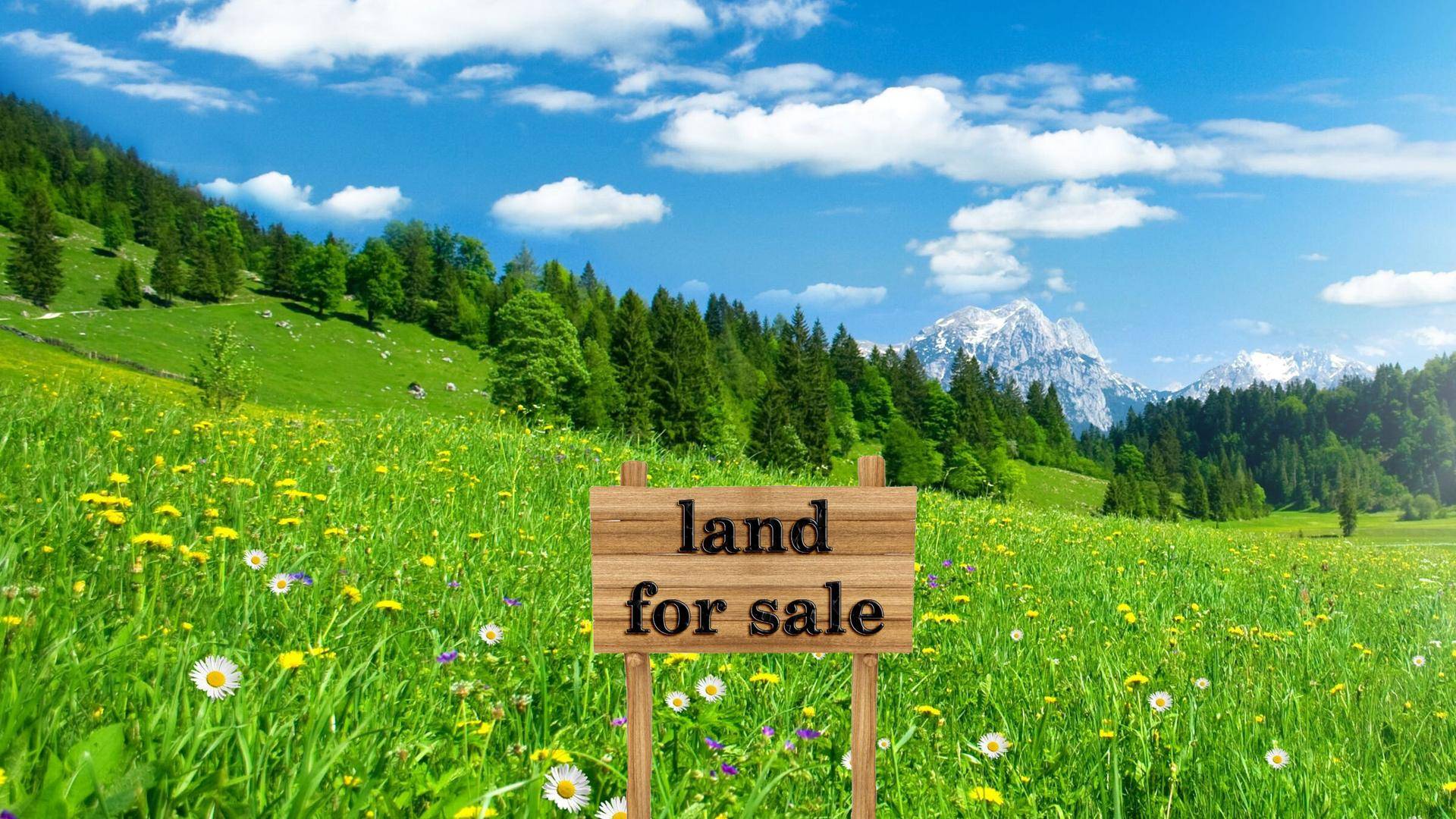 land_for_sale