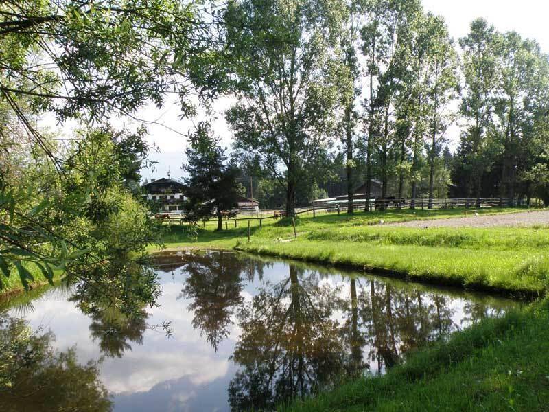 Teich