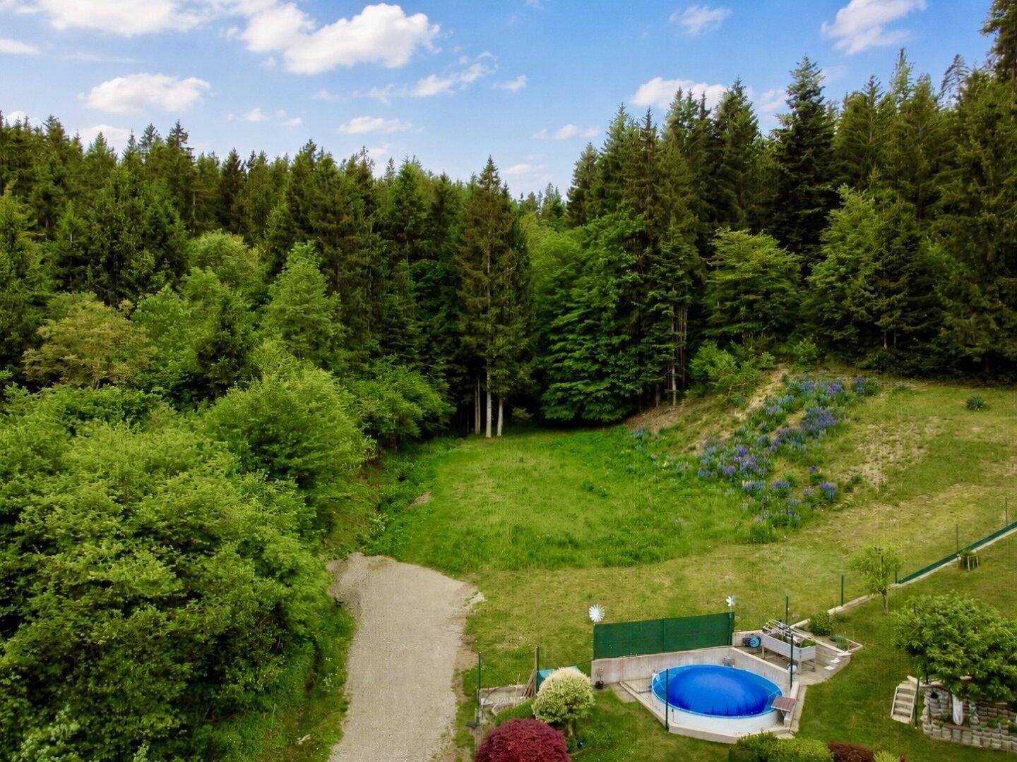 Weitläufige Grünfläche mit Waldrand, Schotterweg und einem oberirdischen Pool.