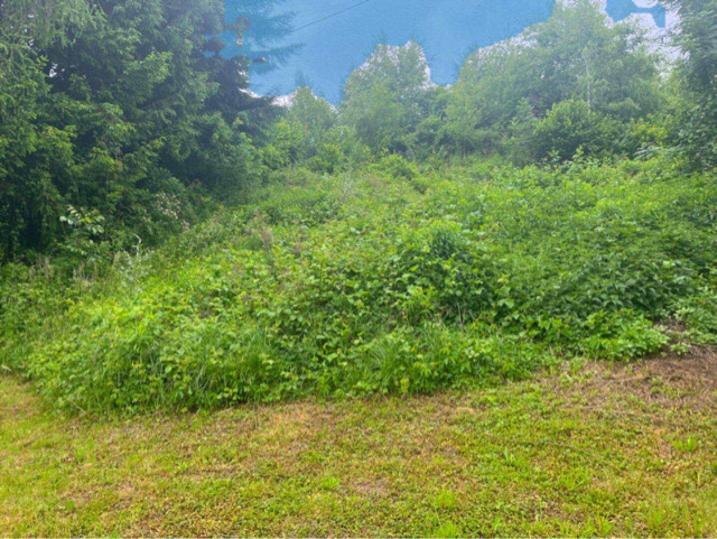 Traumhaftes Baugrundstück in Villach-Vassach mit Altbestand – Sonnig, ruhig und mit Weitblick (Gstk. 3) - Mehr
