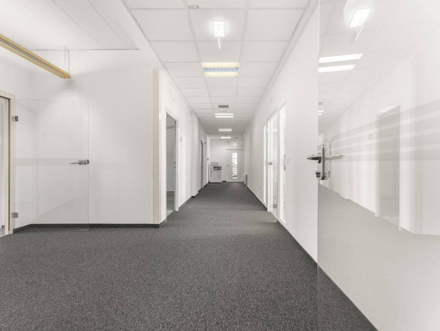 Langer, heller Flur mit Teppichboden, weißen Wänden und Glastüren zu den Büros.