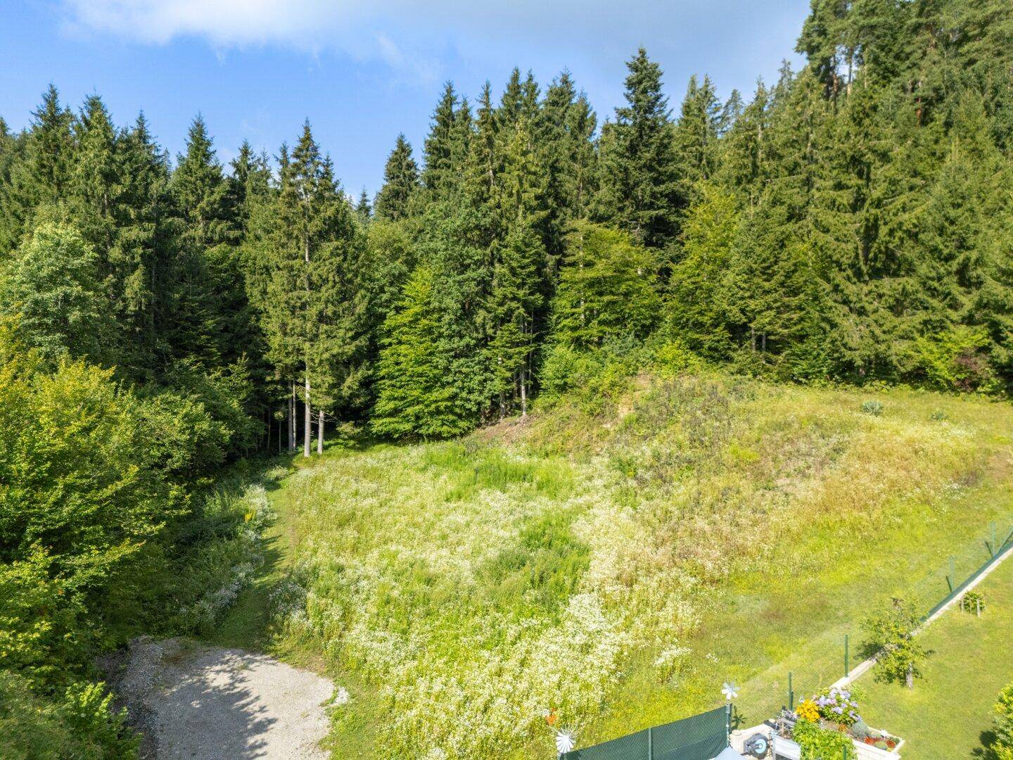 Naturbelassenes Grundstück mit hohem Gras und Bäumen im Hintergrund, bereit zur Bebauung.