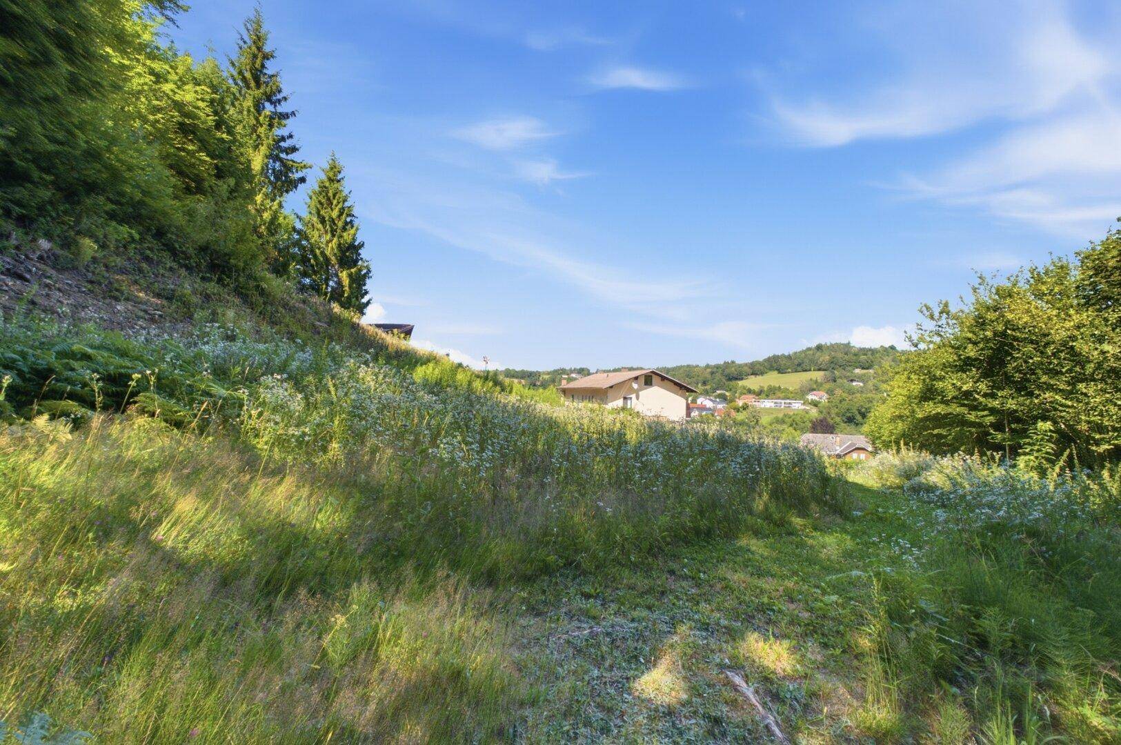 Blick über eine grüne Wiese auf entfernte Häuser und die hügelige Landschaft unter blauem Himmel.