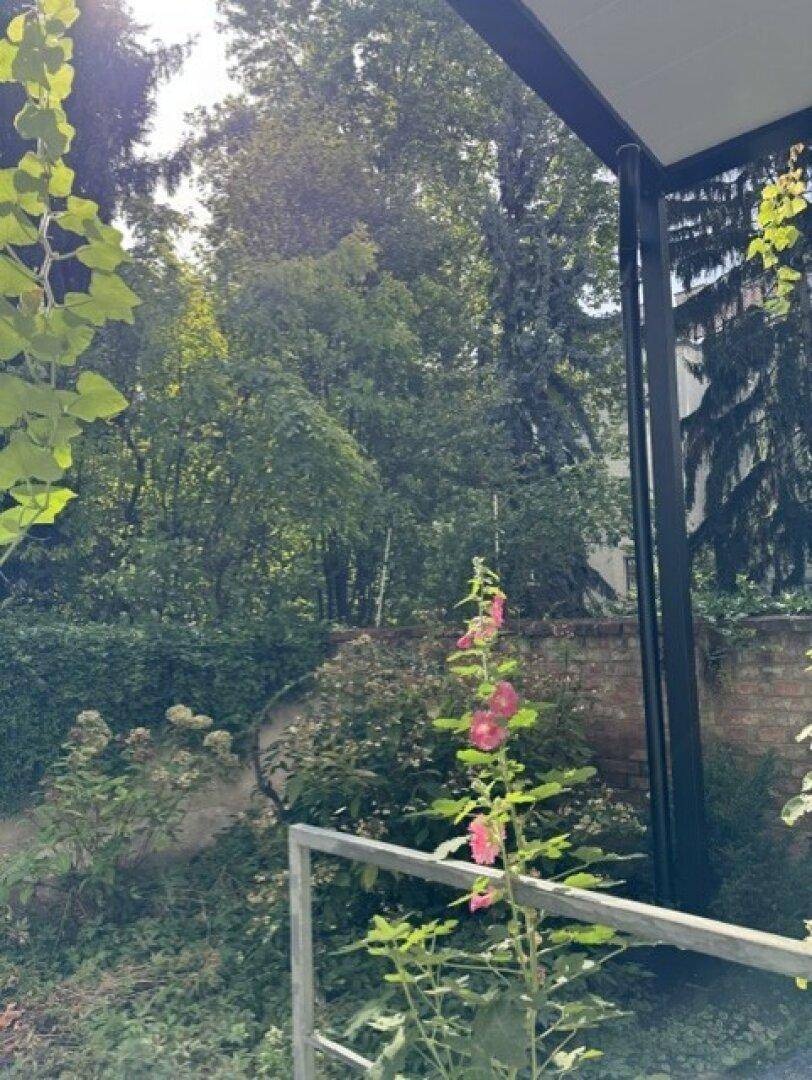 Üppiger grüner Garten mit hohen Bäumen und blühenden Pflanzen.