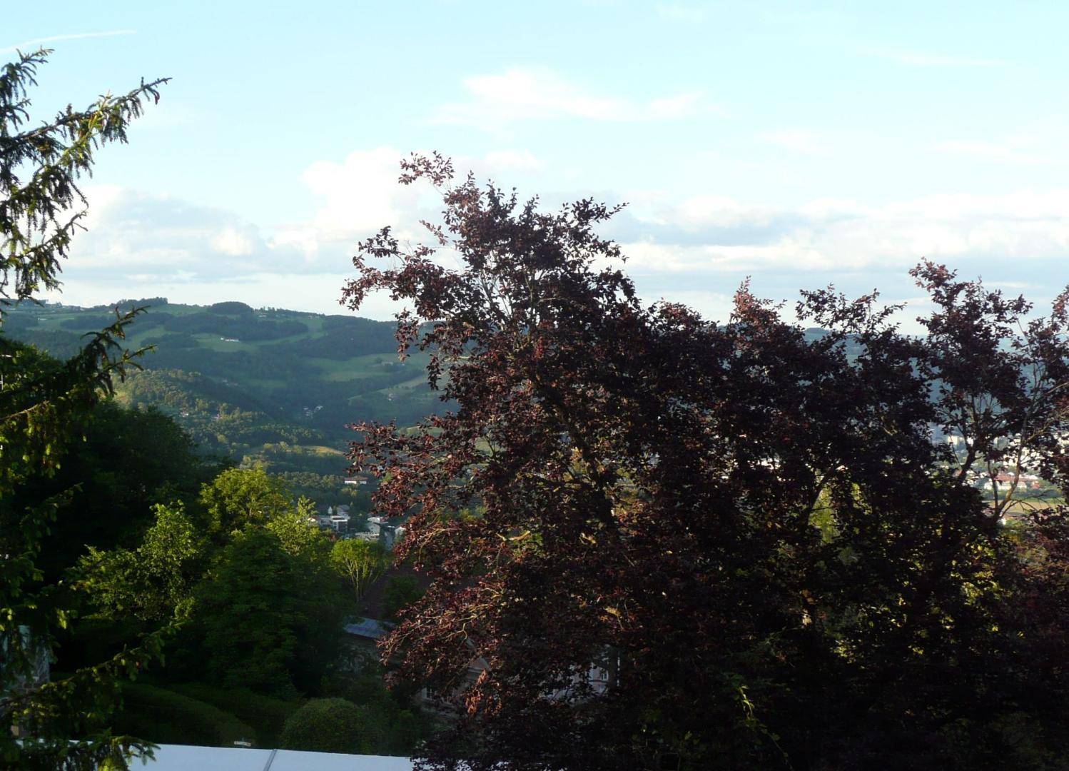 Ausblick von Wintergarten aus