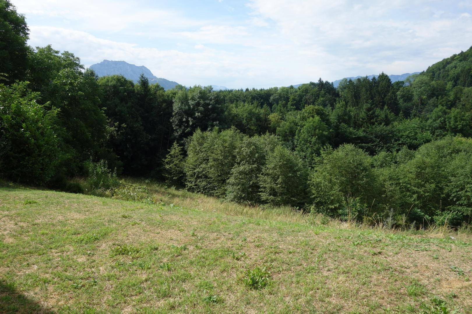 Ausblick von Terrasse mit Traunstein