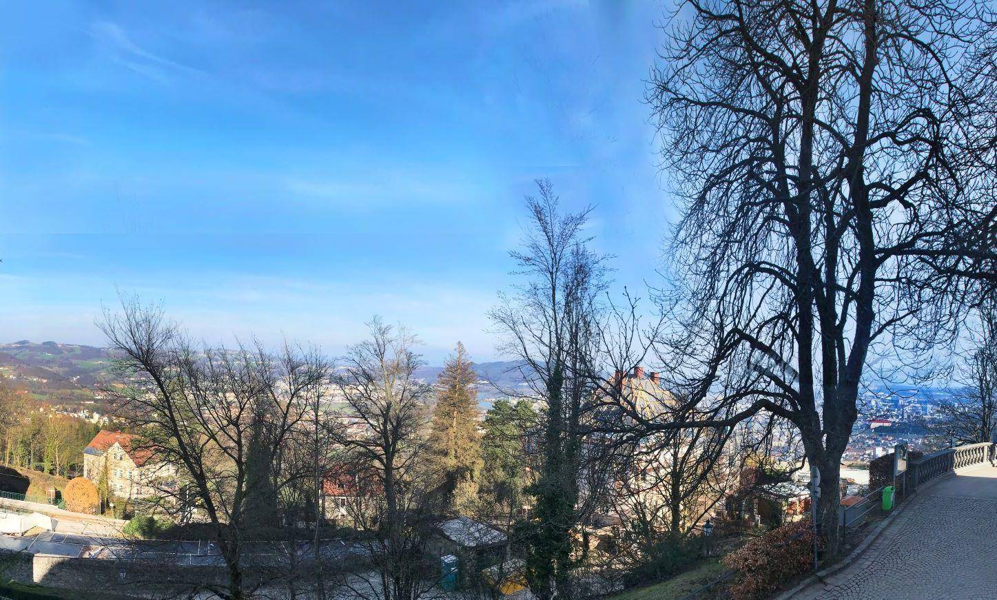 Winterausblick vom Wintergarten