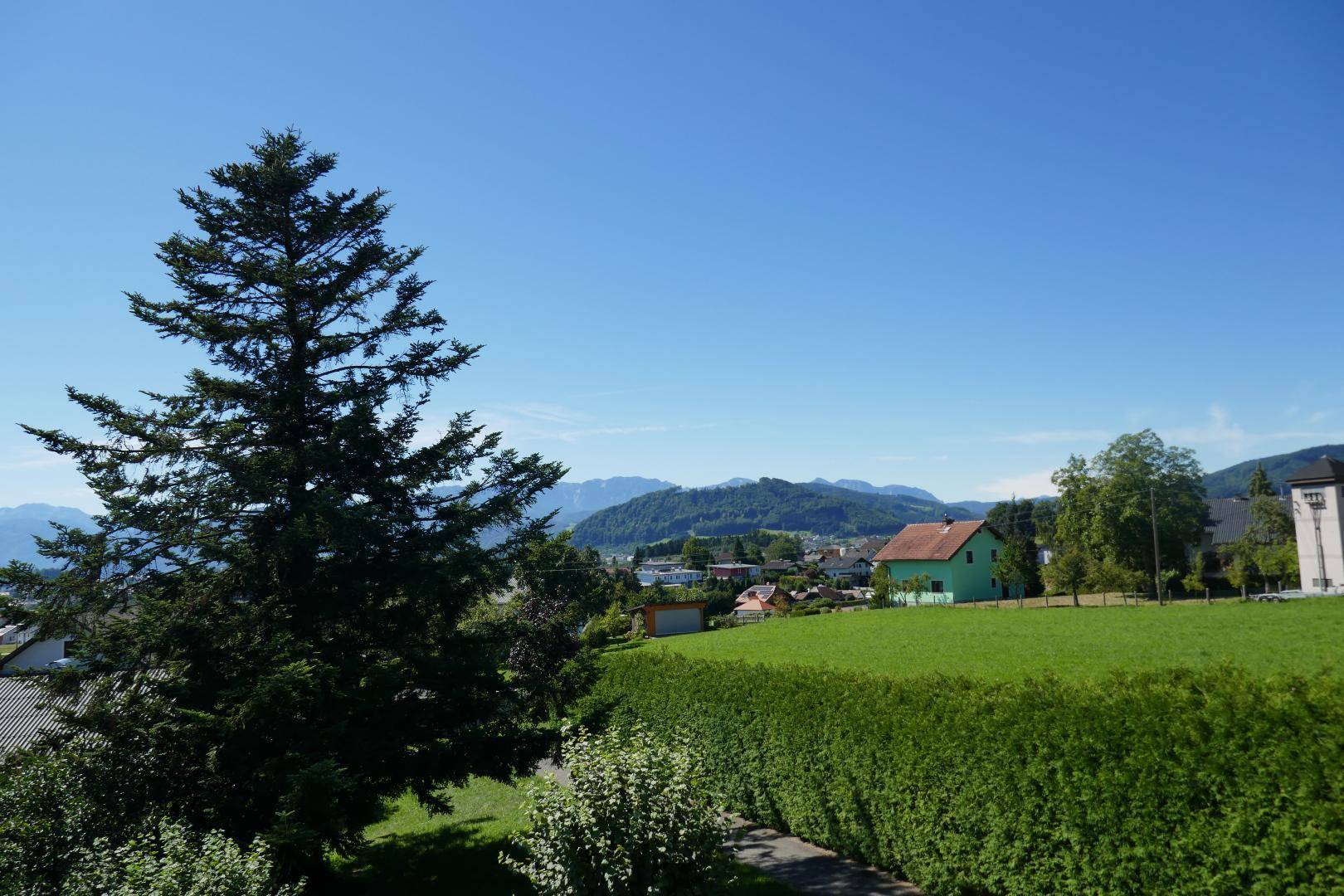 Idyllischer Ausblick auf die Berge und grüne Landschaft mit einem großen Nadelbaum im Vordergrund.