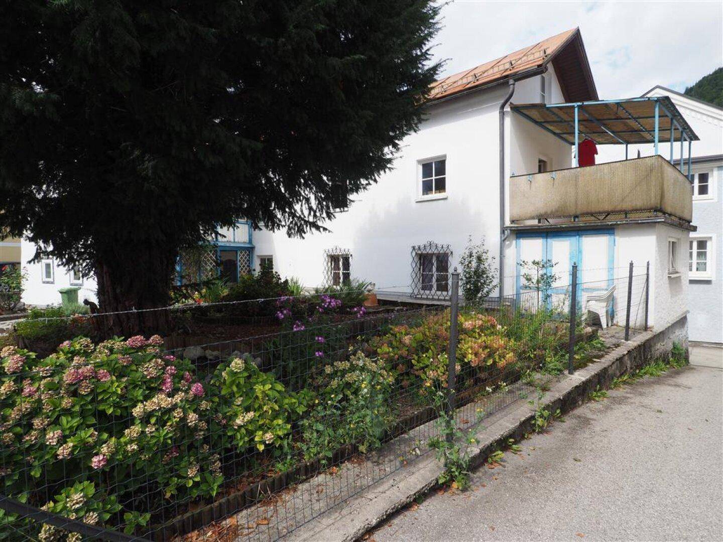 Seitlicher Blick auf das Haus mit üppigem Gartenbereich und einem großen Nadelbaum.