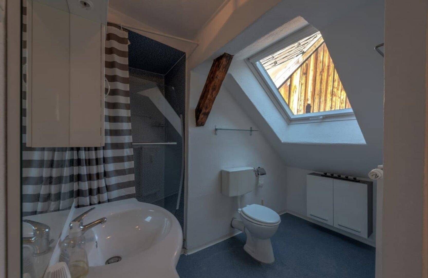 Helles Badezimmer unter dem Dach mit Dusche, WC und großem Dachfenster.