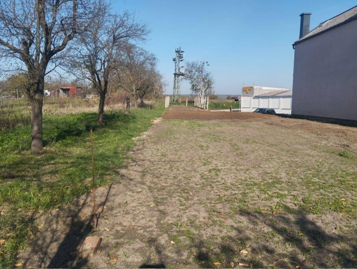 Blick auf das Grundstück neben dem Haus mit Bäumen und einem Strommast in der Ferne.