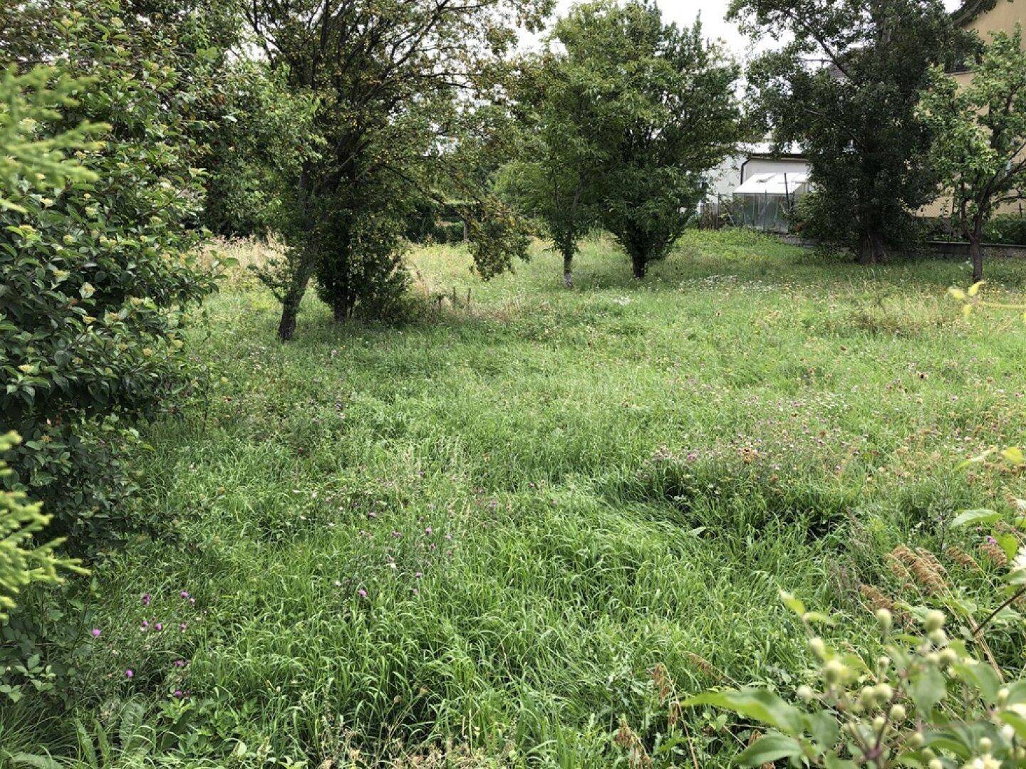 TRAUMHAFTES BAUGRUNDSTÜCK IN PERCHTOLDSDORF FÜR IHR EIGENHEIM – pohled 4