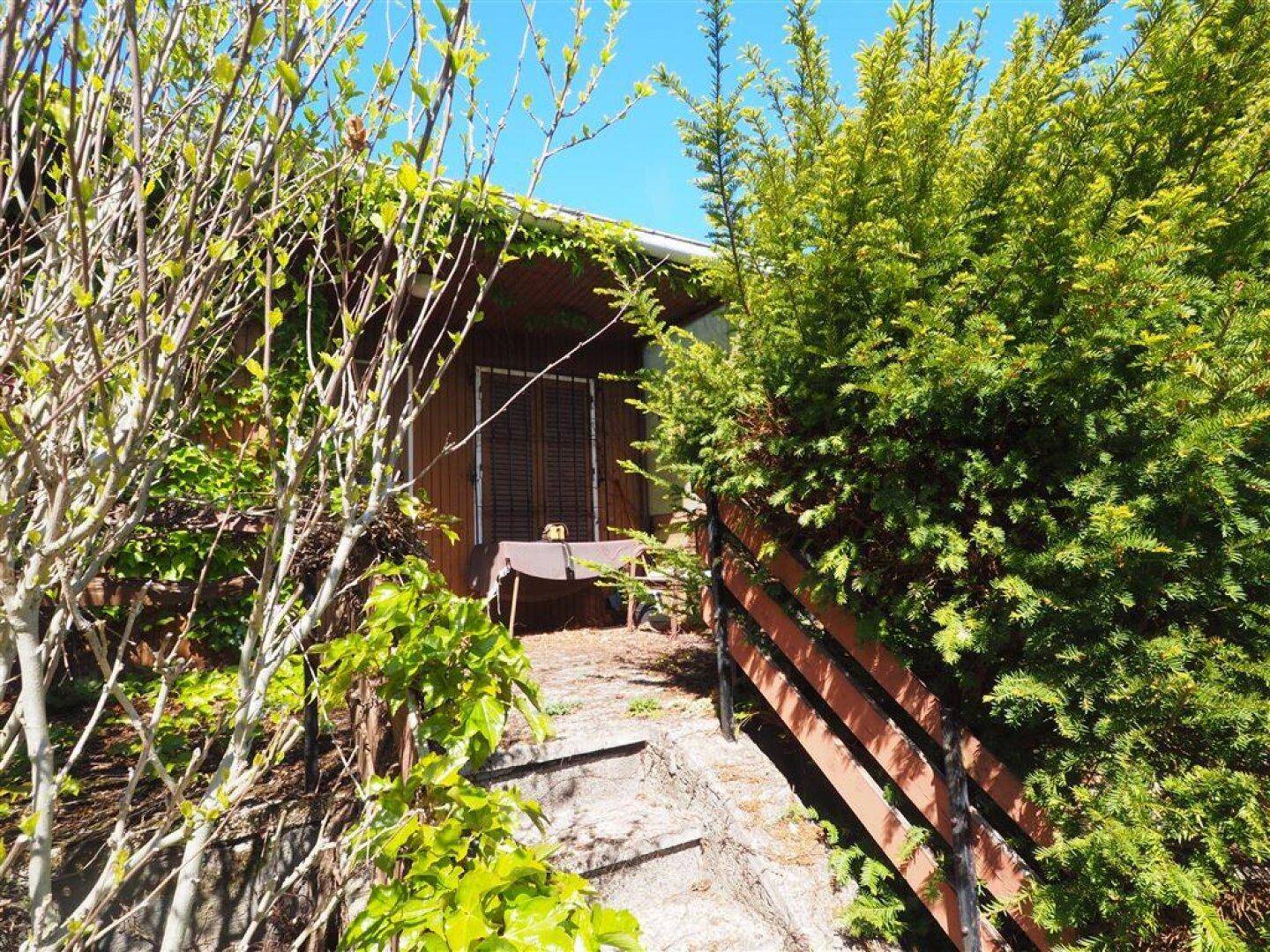 Kleiner, rustikaler Eingangsbereich eines Gartenhauses mit Holzverkleidung und Treppe, umgeben von dichtem Grün.