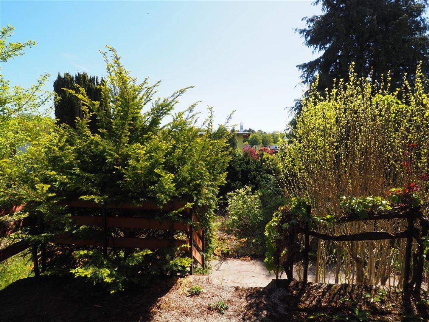 Sonniger Gartenbereich mit Zaun und verschiedenen Sträuchern, der einen weiten Blick in die Ferne bietet.