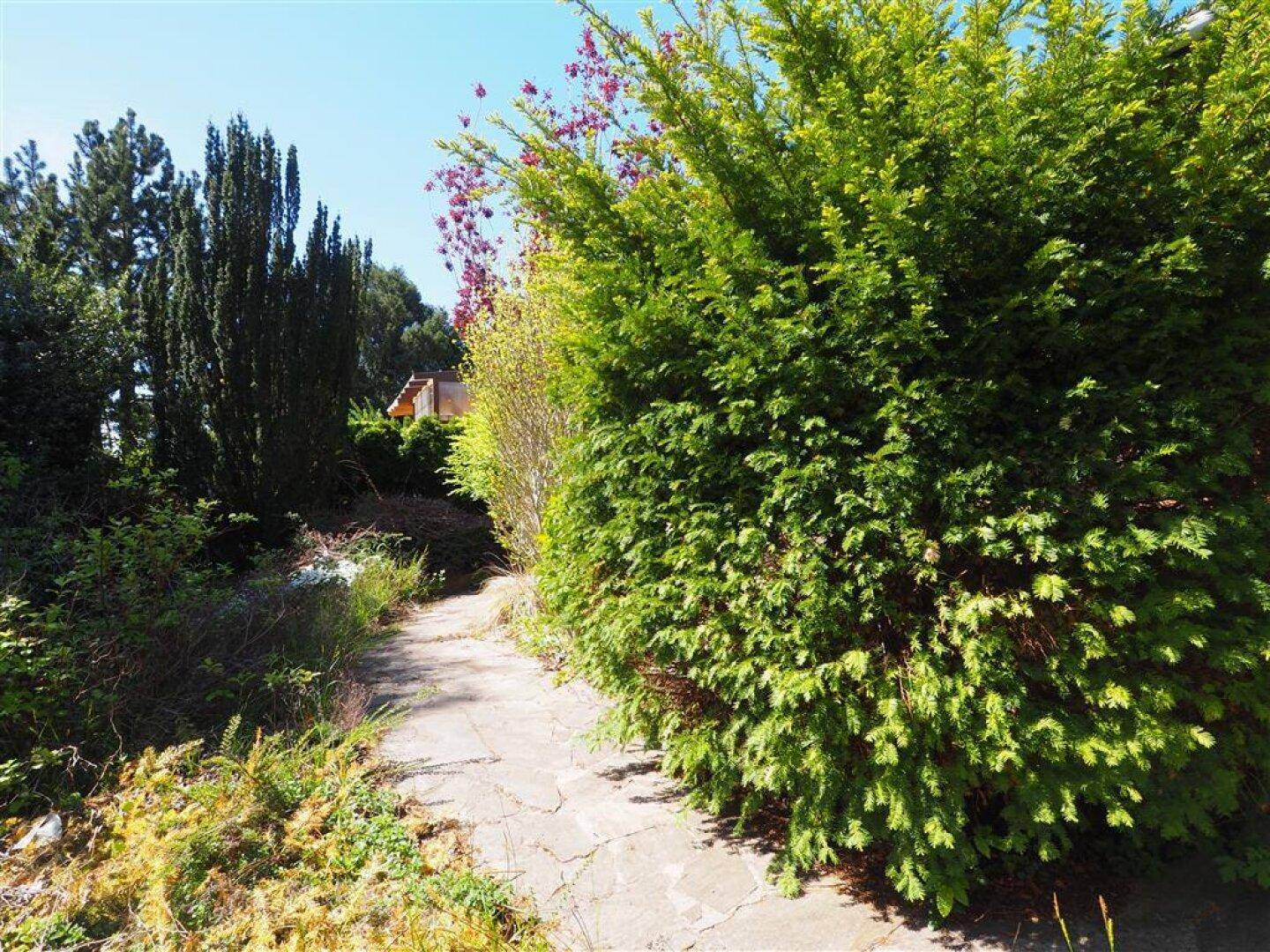 Geschwungener Steinplattenweg führt durch einen üppigen Garten mit hohen Hecken und Sträuchern im Sonnenlicht.