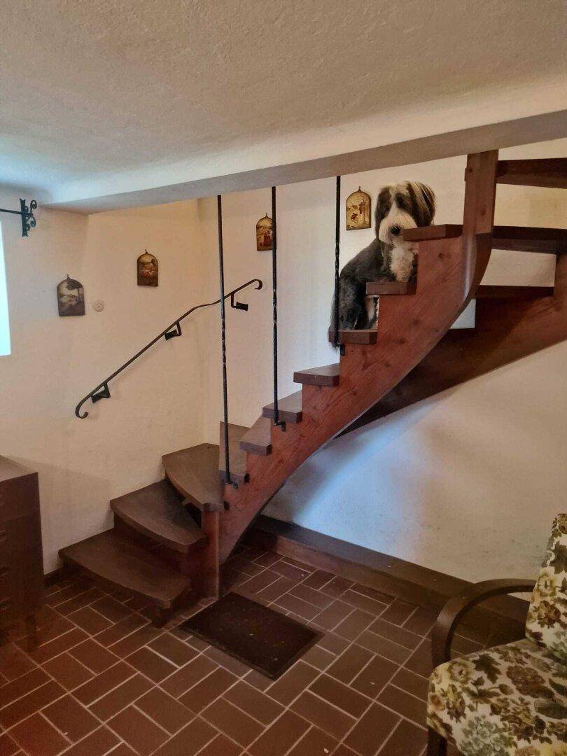 Geschwungene Holztreppe mit schmiedeeisernem Geländer und Terrakotta-Fliesenboden, ein charmanter Akzent.