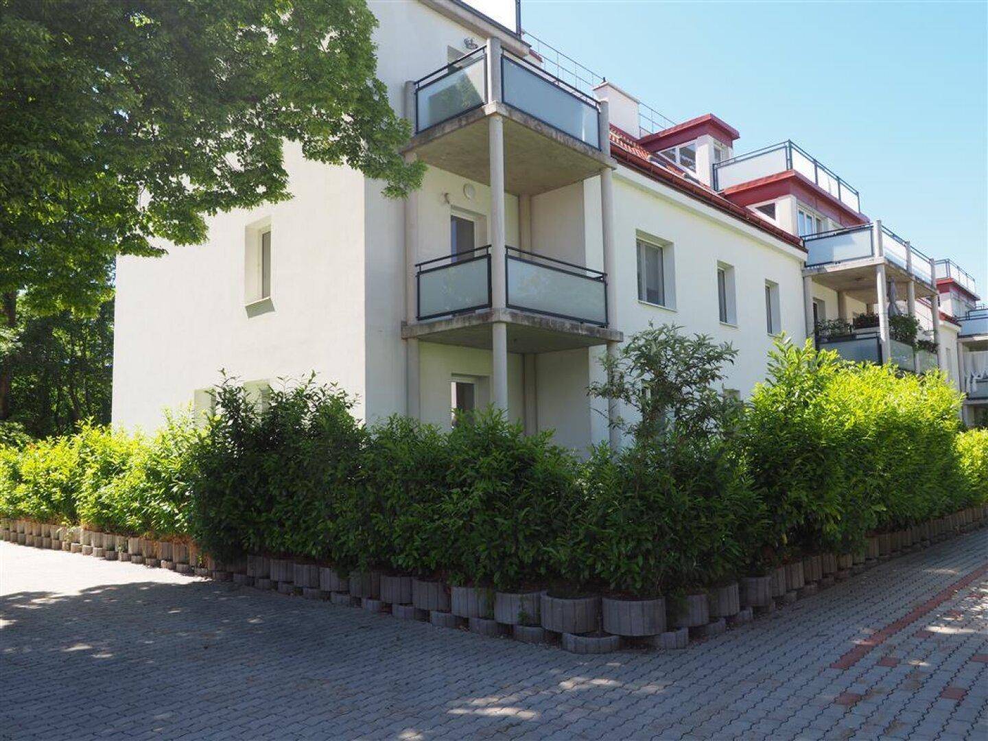 Slide 6
