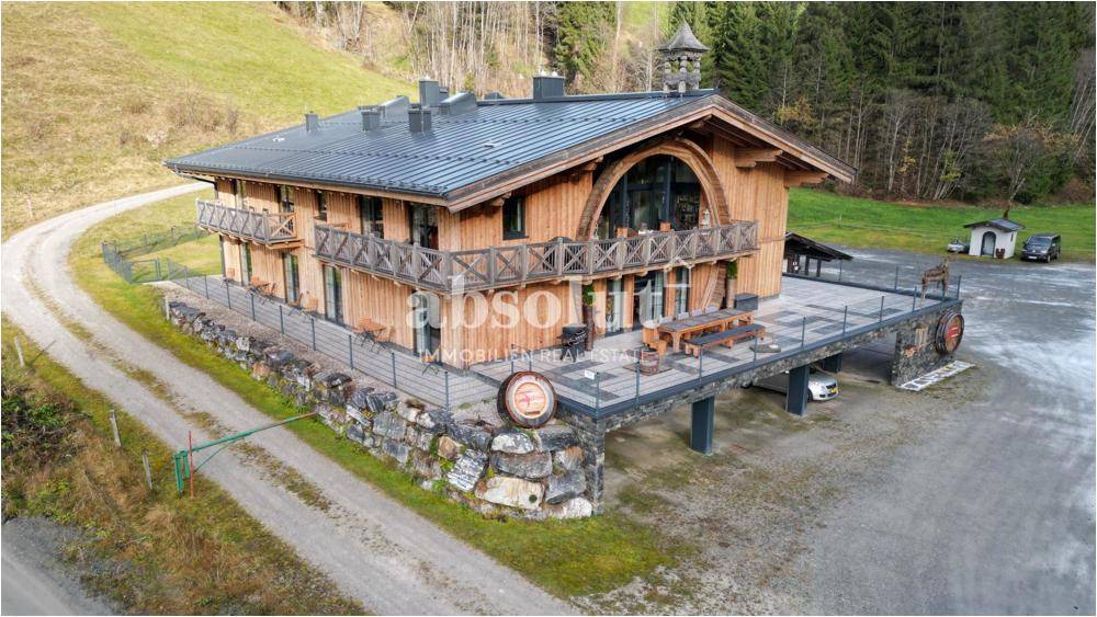 Luftaufnahme des Holzchalets mit großzügiger Terrasse und umliegender Natur.