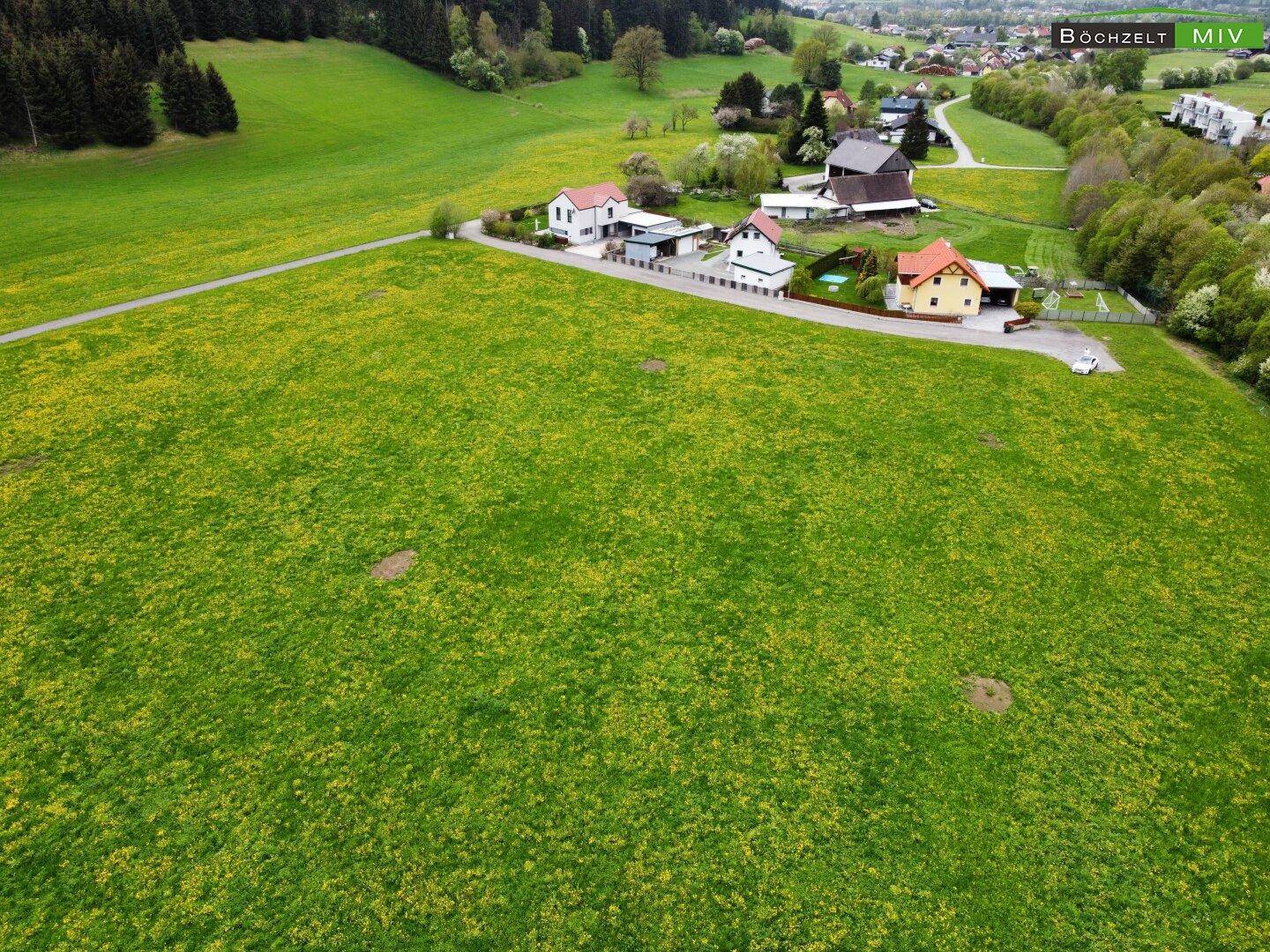Luftaufnahme einer weitläufigen grünen Wiese mit gelben Blumen, umgeben von Häusern und ländlicher Landschaft.