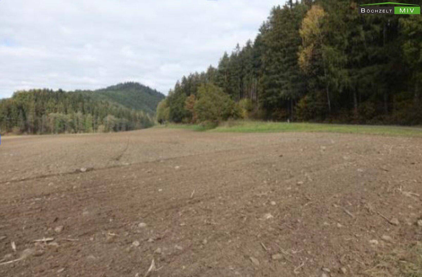 Offenes Ackerfeld mit angrenzendem Wald und sanften Hügeln unter einem bedeckten Himmel.