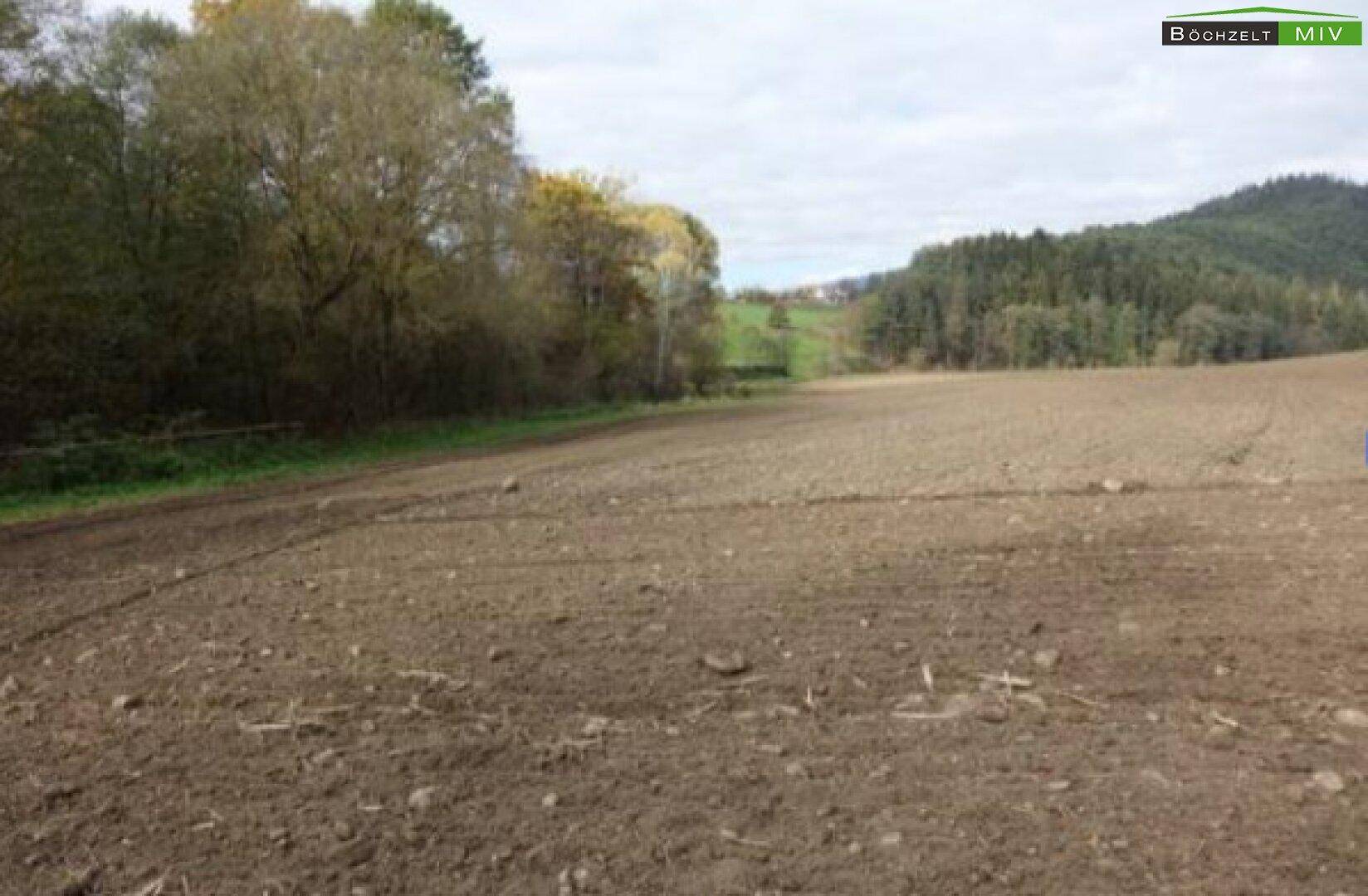 Weitläufiges Ackerland mit bewaldeten Hügeln im Hintergrund unter bewölktem Himmel.