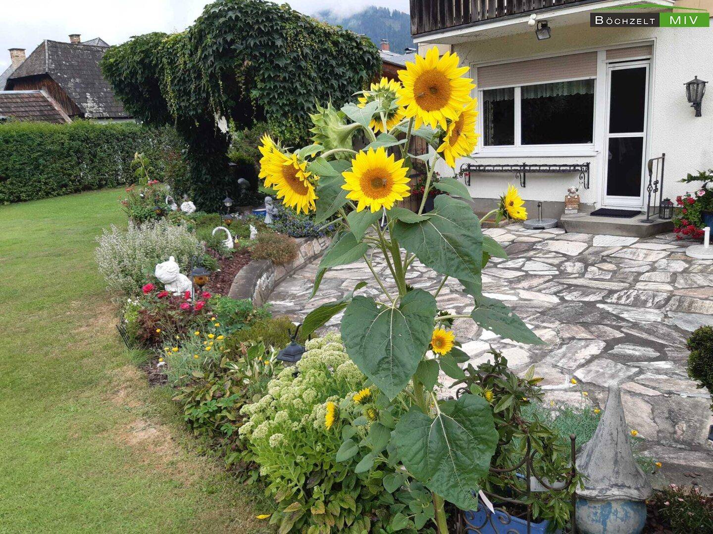 Sonniger Gartenbereich mit großen Sonnenblumen, Blumenbeeten und einer gepflasterten Terrasse.