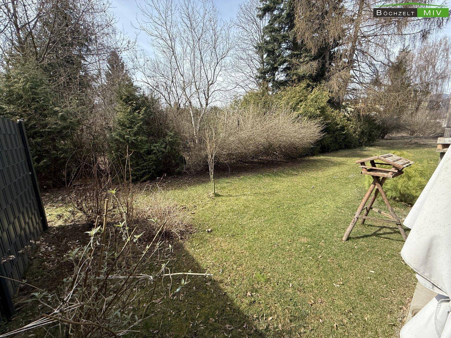 Gepflegter Gartenbereich mit Rasenfläche und verschiedenen Bäumen und Sträuchern.