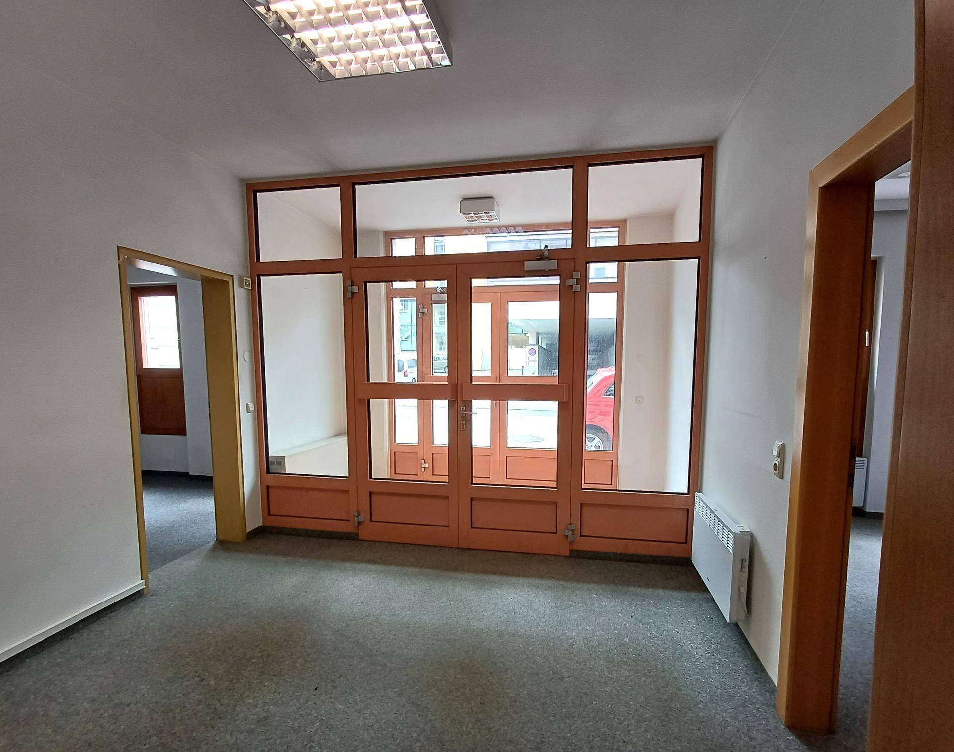 Eingangsbereich mit großen Glas-Holztüren, Teppichboden und Heizkörper an der Wand.