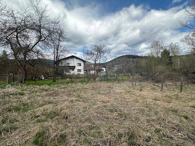 Grund Blick zum linken Nachbarn
