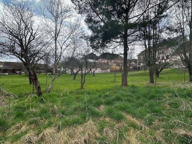 Blick zum Nachbarn