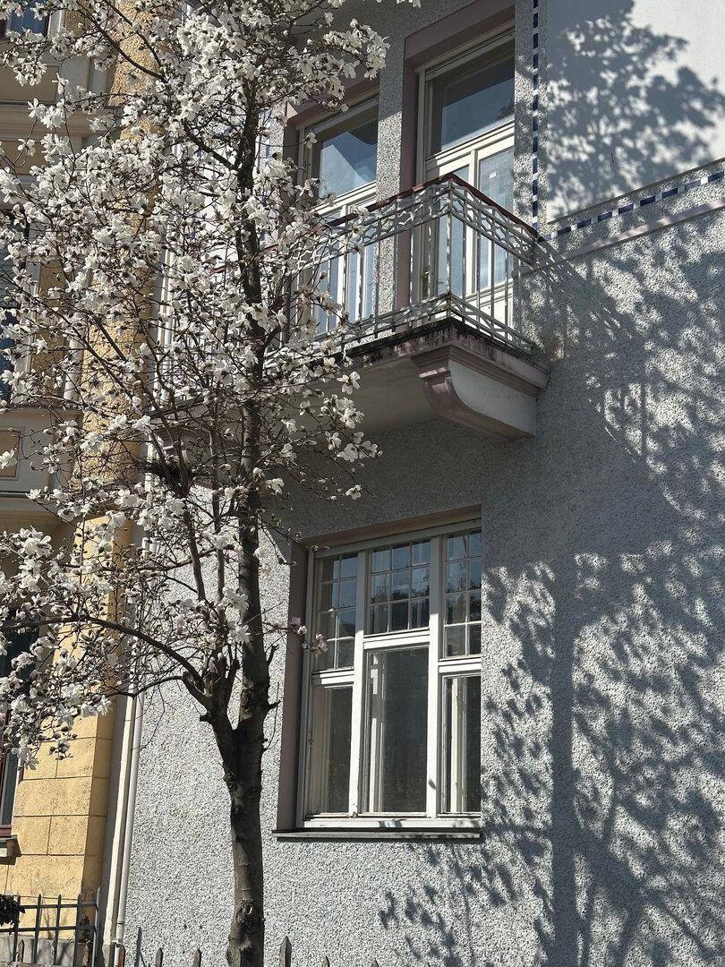 Historische Fassade mit kleinem, schmiedeeisernem Balkon und blühendem Baum im Frühling.