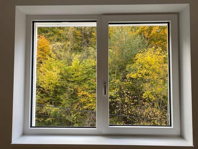 Fenster mit Blick auf herbstliche Bäume und grüne Natur.