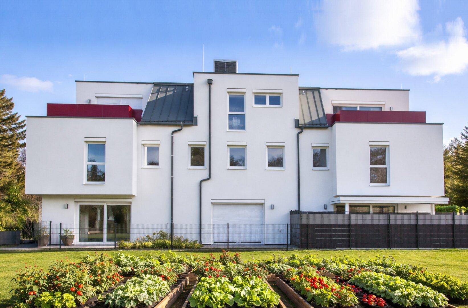Moderne Reihenhäuser mit weißer Fassade und gepflegtem Gemüsegarten im Vordergrund.