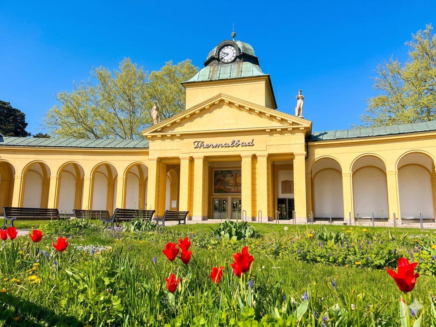 Prunkvolles gelbes Thermalbad-Gebäude mit Uhrturm und roten Tulpen im Vordergrund unter blauem Himmel.