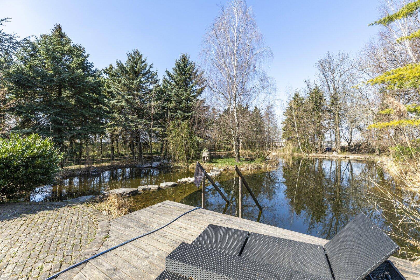Entspannungsbereich am Teich mit Holzsteg und Liegestühlen, umgeben von Bäumen und Natur.