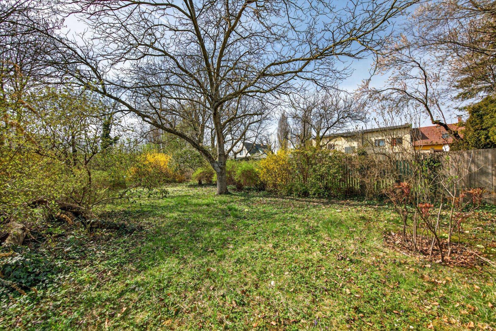 Weitläufiger Gartenbereich mit Rasen, Bäumen und Sträuchern unter blauem Himmel.