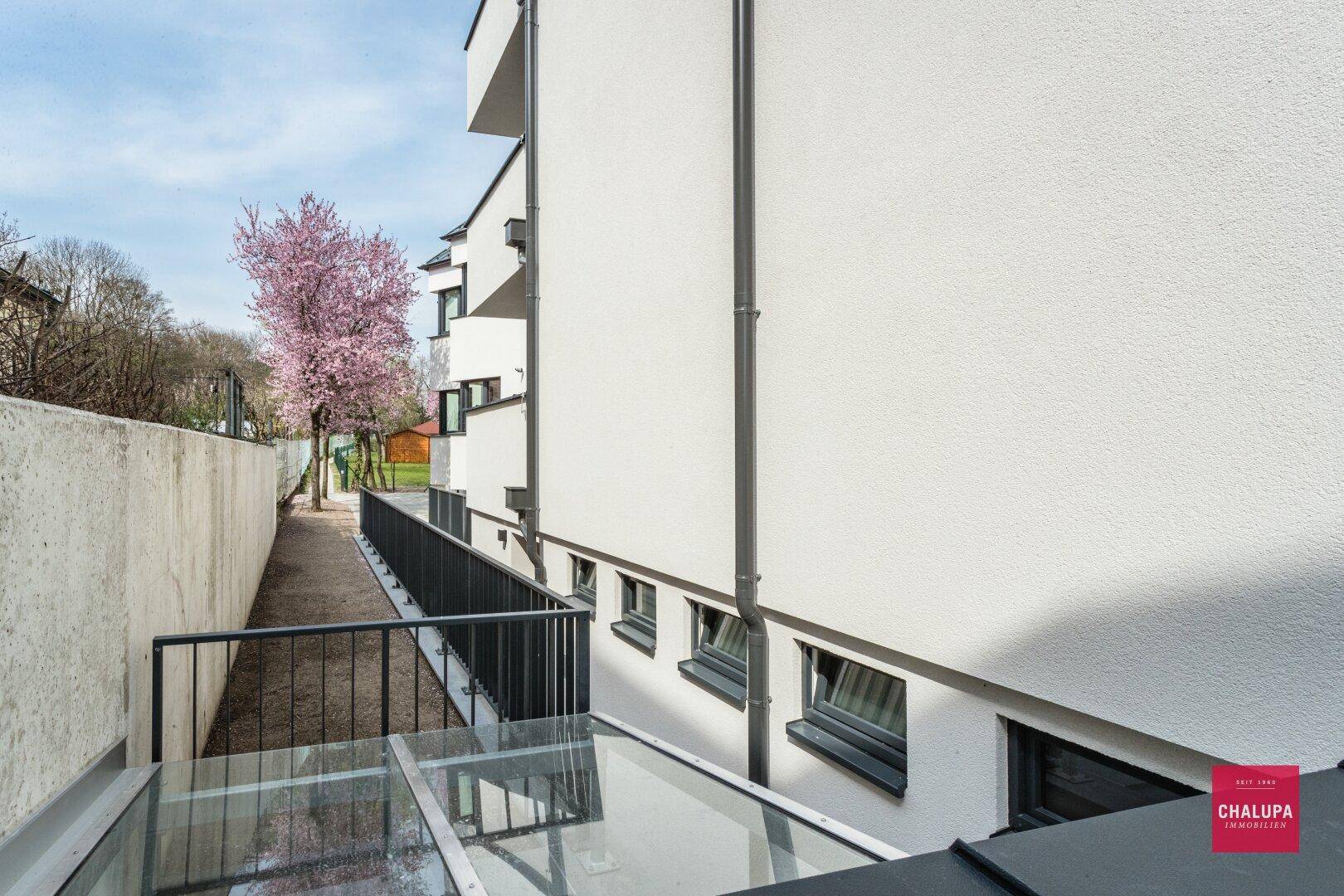 Seitenansicht des Gebäudes mit Fenstern, einem Weg und einer Glasdachkonstruktion.