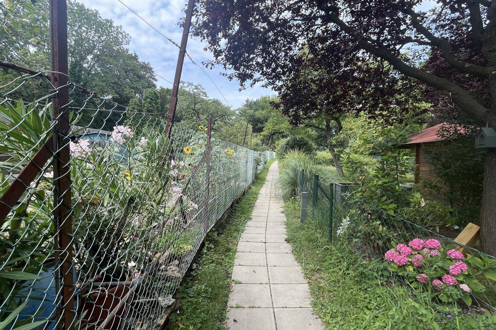 Idyllischer Gartenweg, umgeben von üppigem Grün und einem kleinen Gartenhaus.