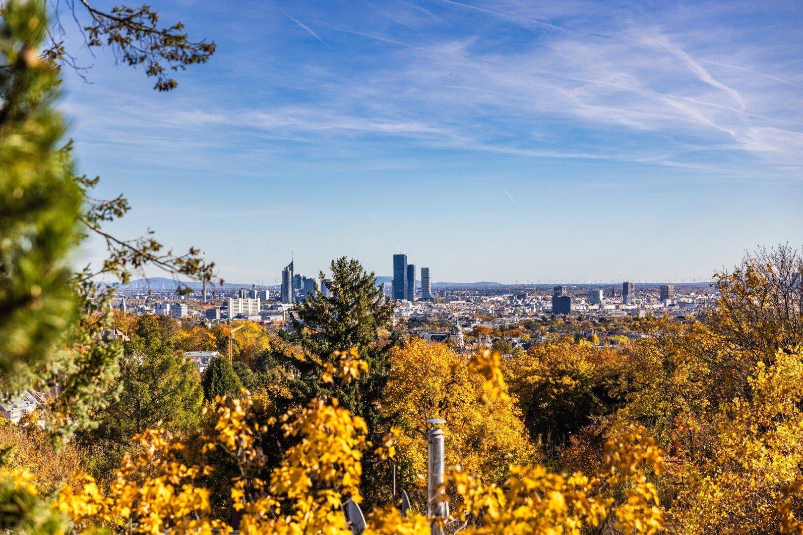 Panoramablick auf die Stadt mit Wolkenkratzern und herbstlicher Weinlandschaft im Vordergrund.